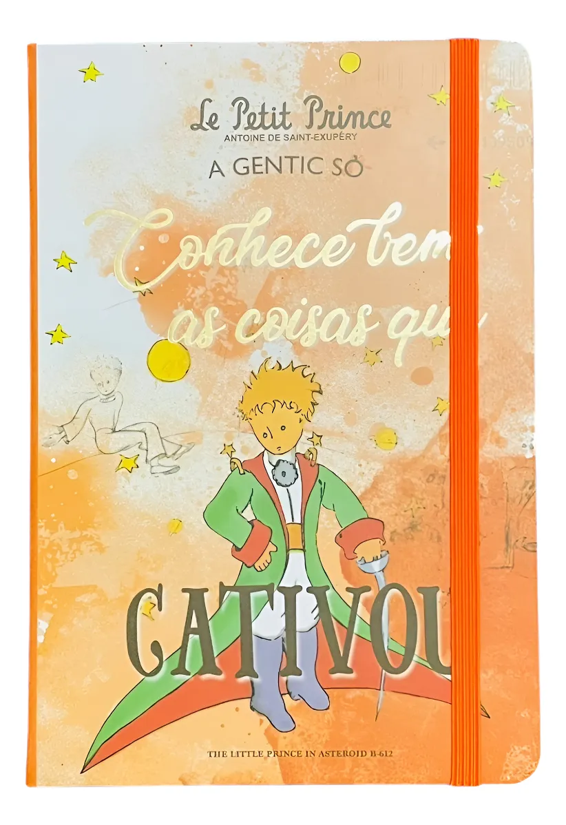 Planner El Principito Con Ilustraciones